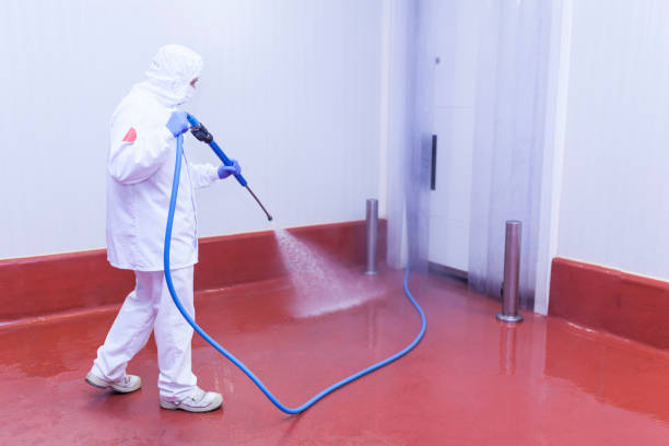 Trusted Castalia, OH Pressure Washing Experts